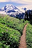 Skyline Divide Trail & Mt. Baker